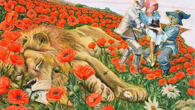 File:Santore Oz.jpeg